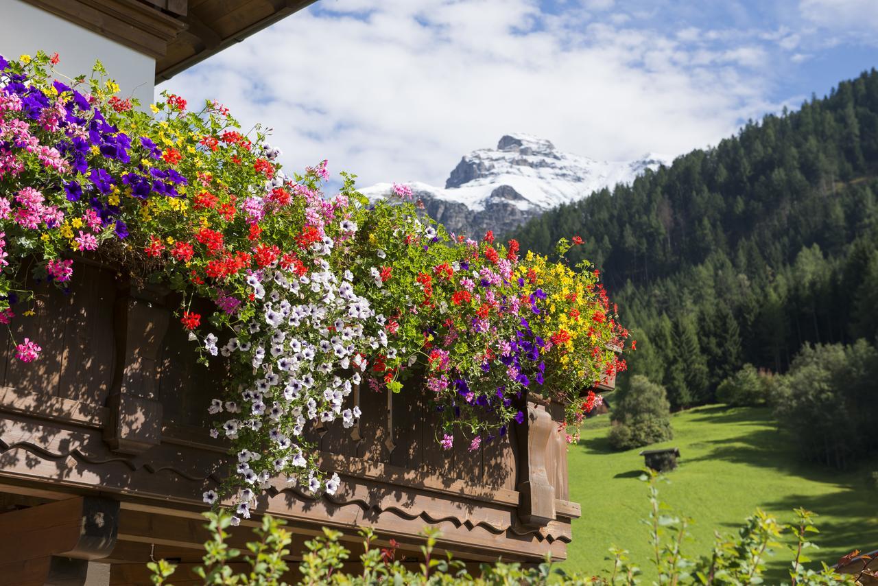 Haus Fernblick Hotel Neustift im Stubaital Exterior foto